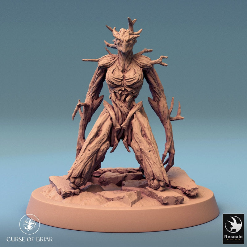 Wood Fey Intermediate Set 1