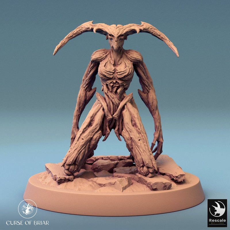 Wood Fey Light Set 1