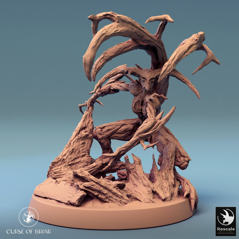 Wood Fey Heavy Set 1