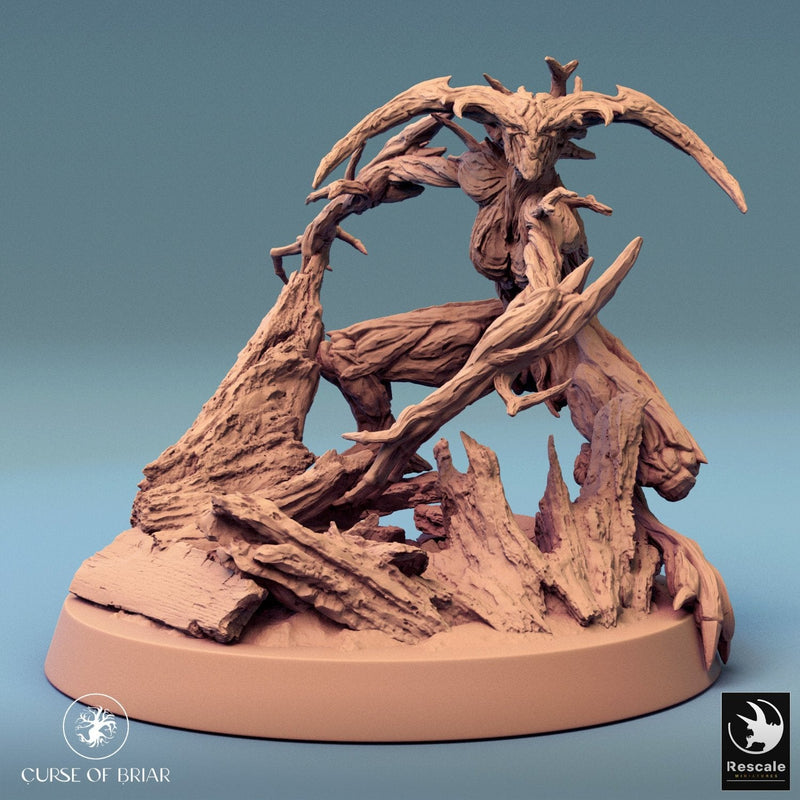 Wood Fey Intermediate Set 1
