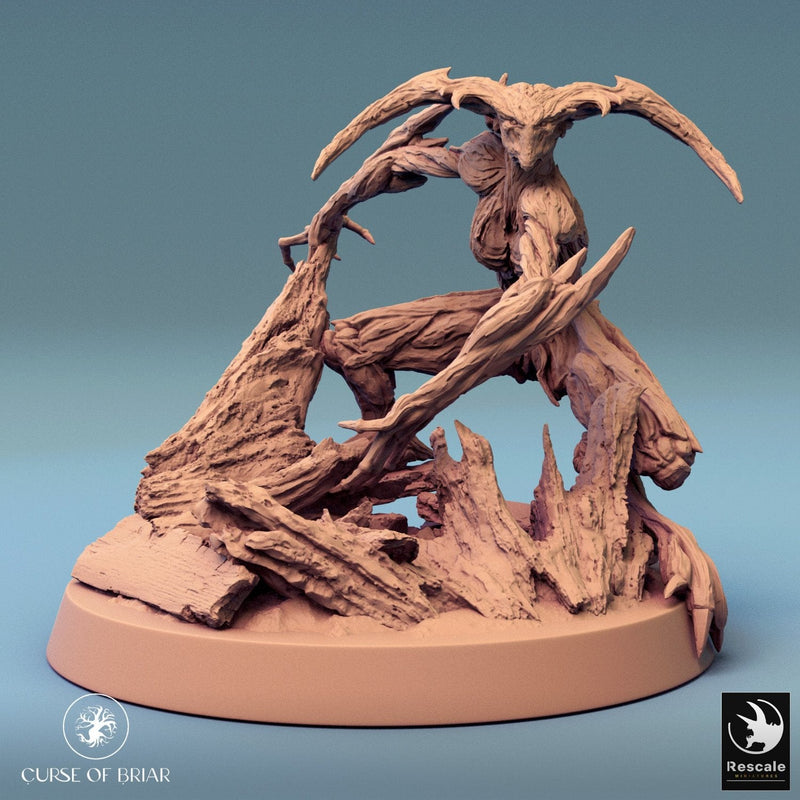 Wood Fey Light Set 1