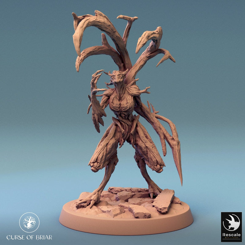 Wood Fey Heavy Set 1