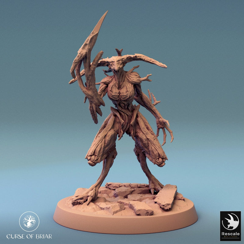 Wood Fey Intermediate Set 1