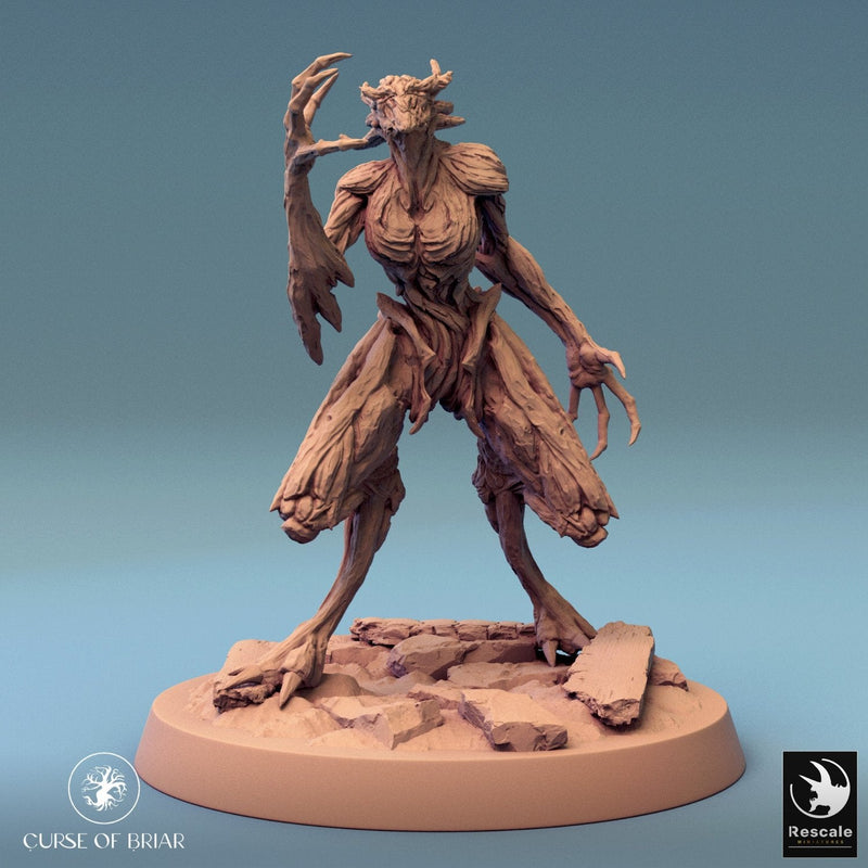 Wood Fey Light Set 1