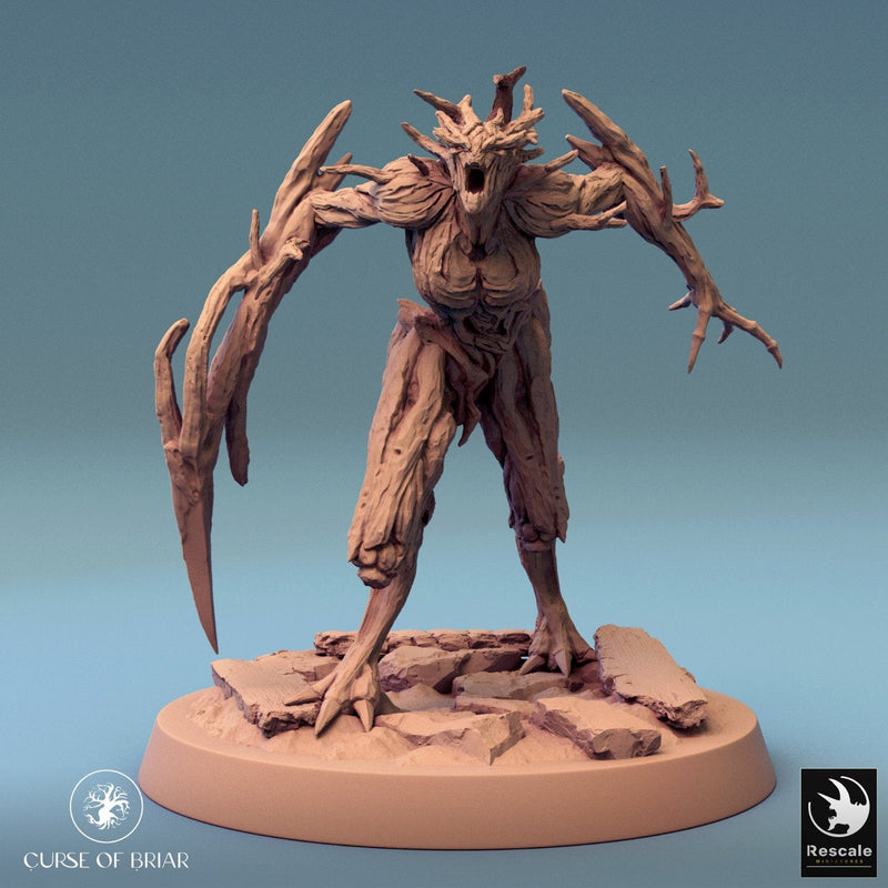 Wood Fey Intermediate Set 1