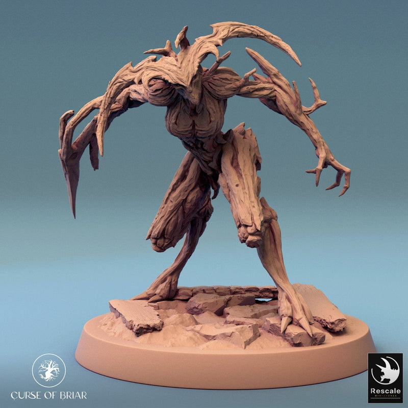 Wood Fey Intermediate Set 1