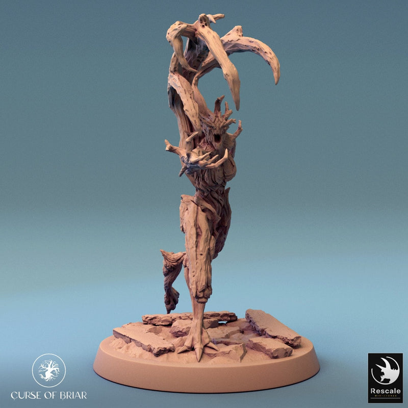 Wood Fey Heavy Set 1