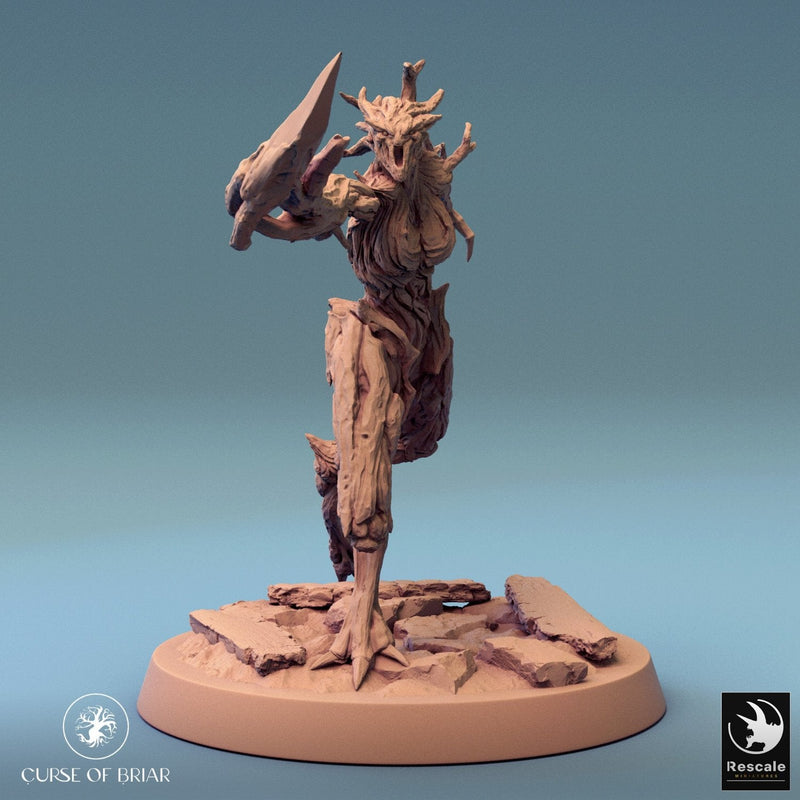 Wood Fey Intermediate Set 1