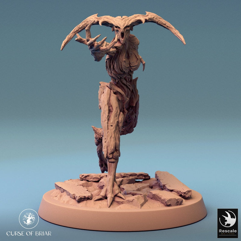 Wood Fey Light Set 1