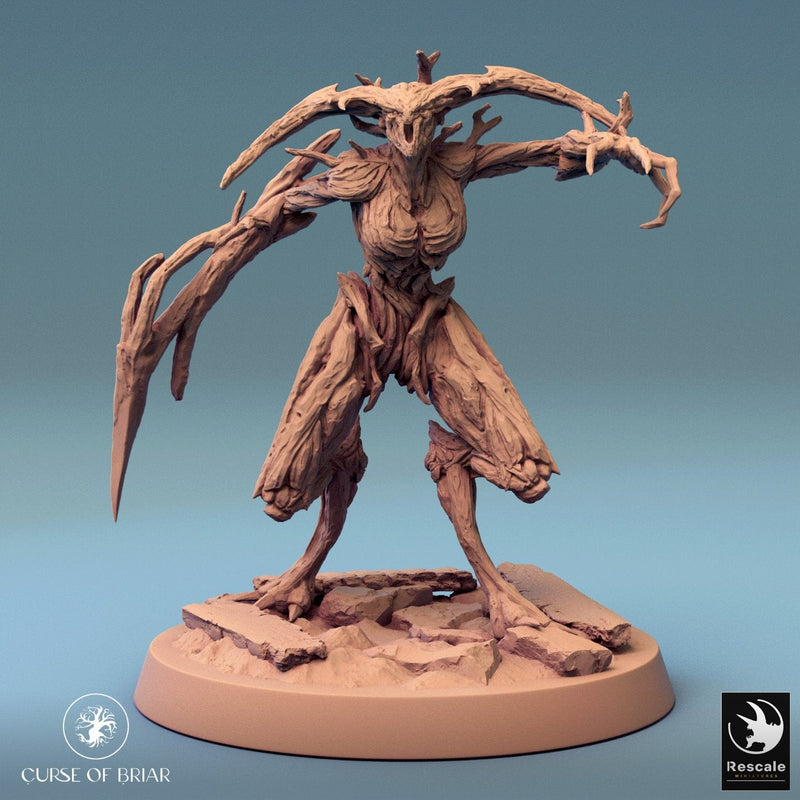 Wood Fey Intermediate Set 1