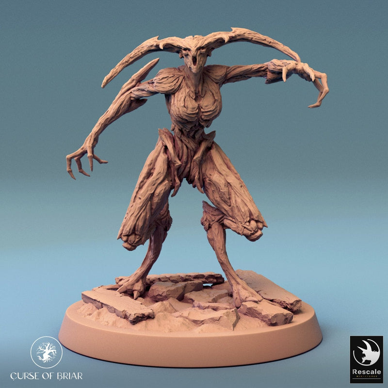 Wood Fey Light Set 1