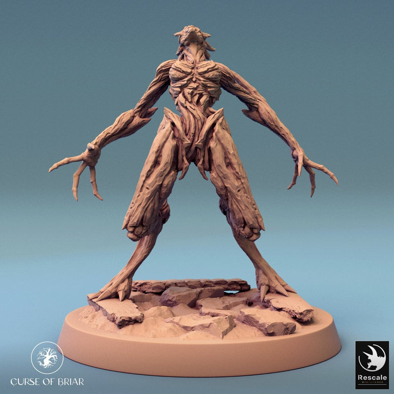 Wood Fey Light Set 2