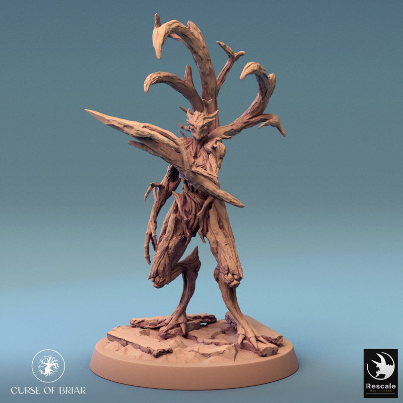 Wood Fey Heavy Set 2