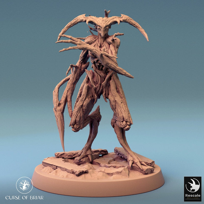 Wood Fey Intermediate Set 2