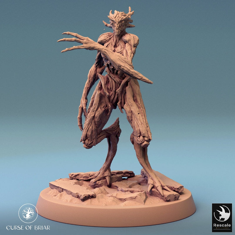 Wood Fey Light Set 2