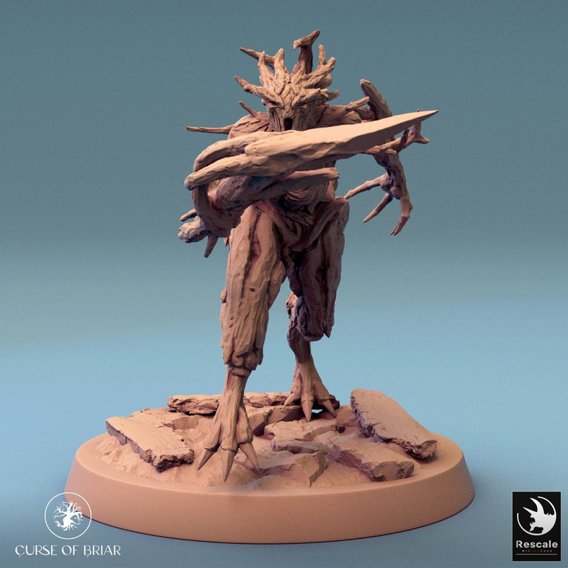 Wood Fey Intermediate Set 2