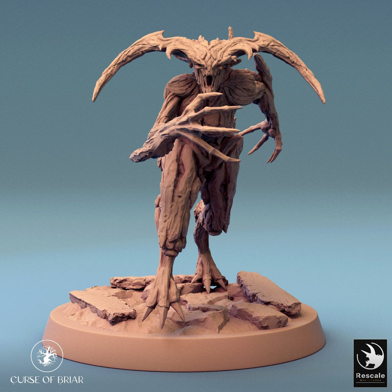 Wood Fey Light Set 2
