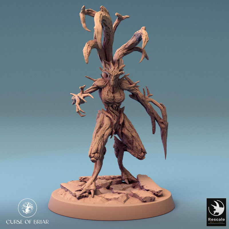 Wood Fey Heavy Set 2