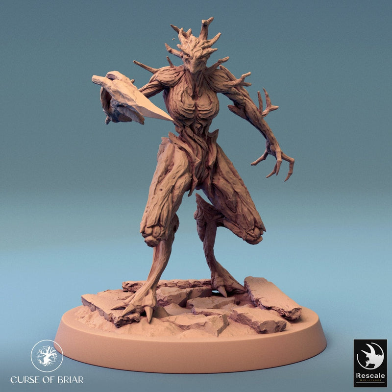 Wood Fey Intermediate Set 2