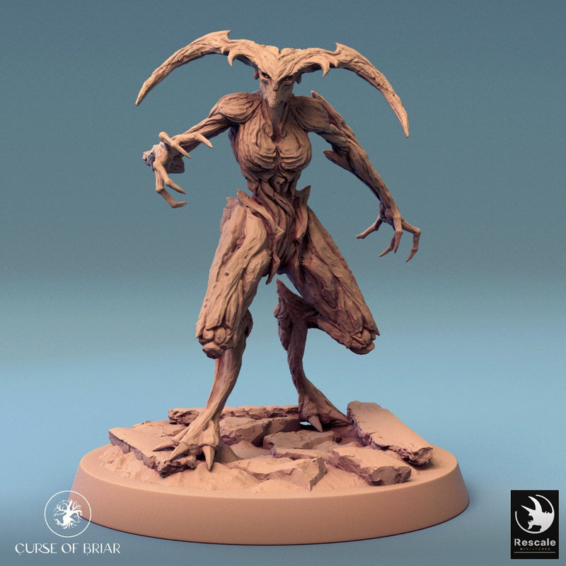 Wood Fey Light Set 2