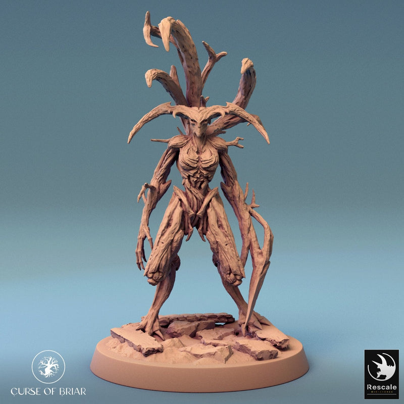 Wood Fey Heavy Set 2