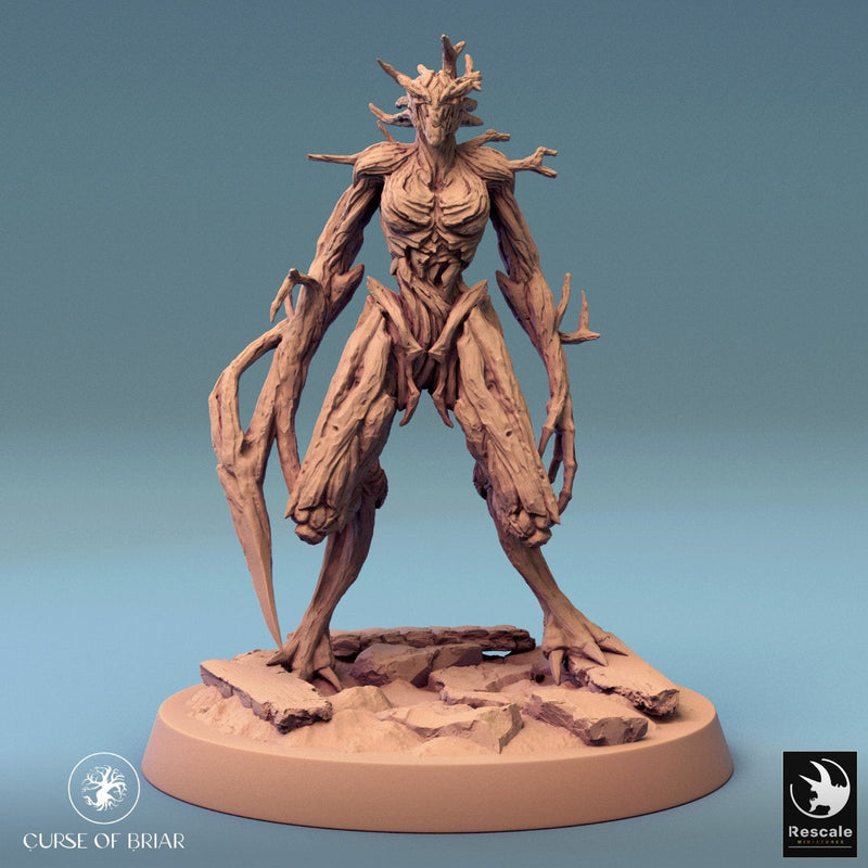 Wood Fey Intermediate Set 2