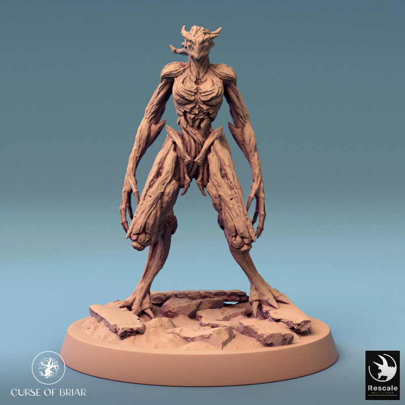 Wood Fey Light Set 2