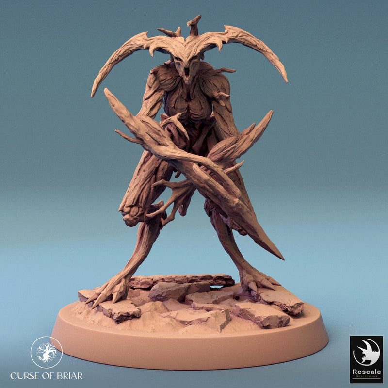 Wood Fey Intermediate Set 2