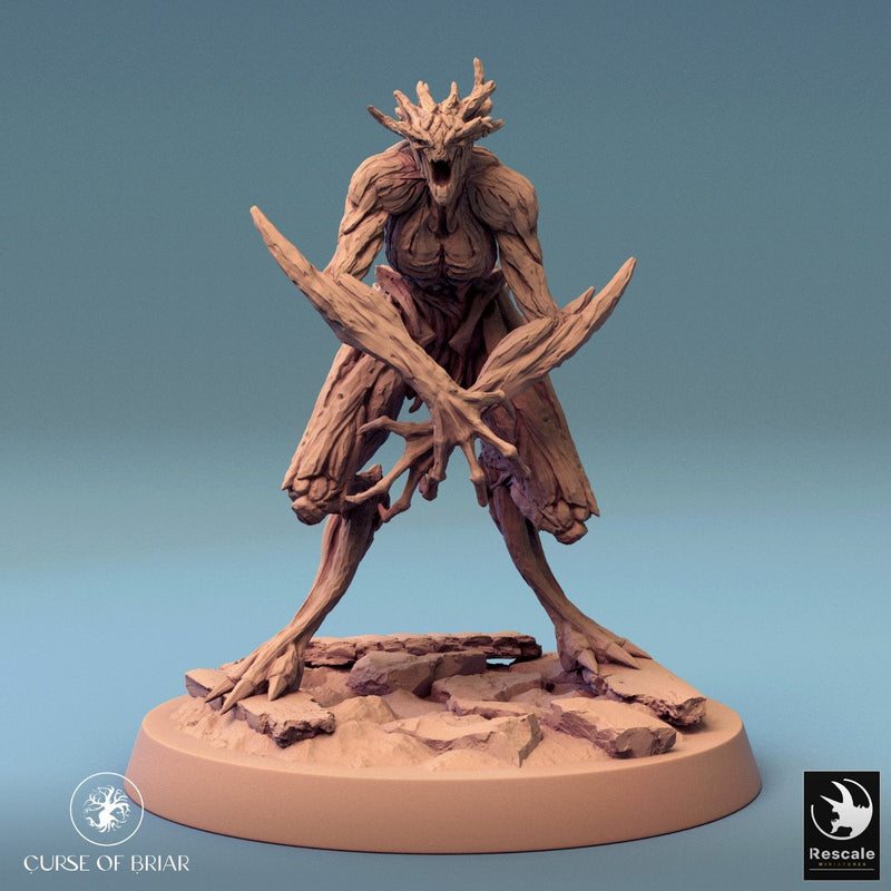 Wood Fey Light Set 2