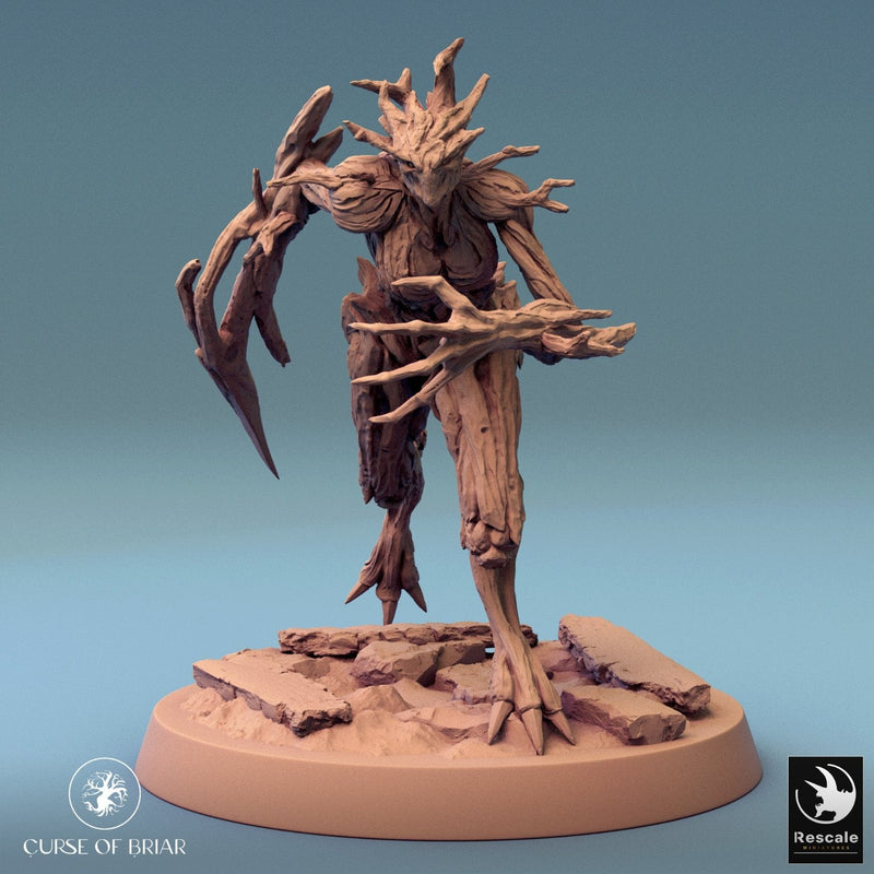 Wood Fey Intermediate Set 2