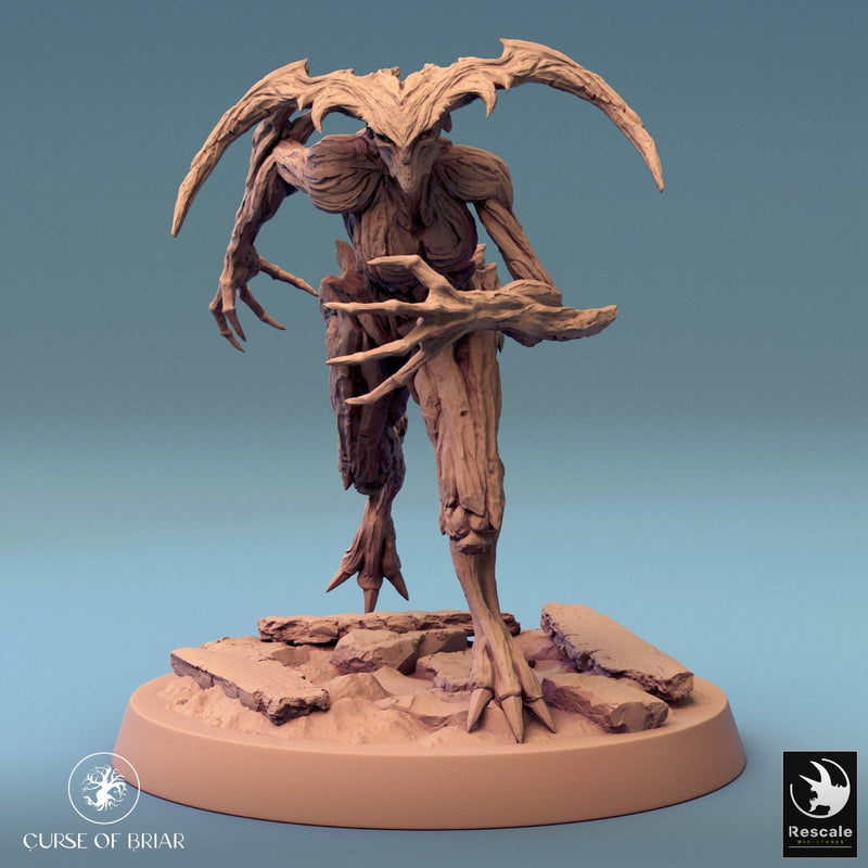 Wood Fey Light Set 2
