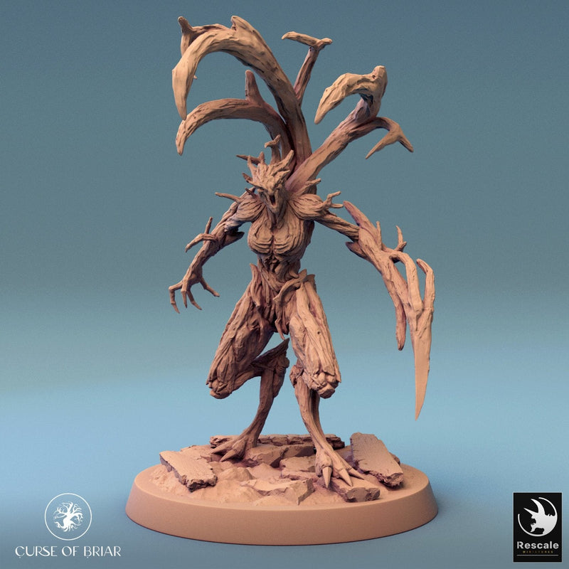 Wood Fey Heavy Set 2
