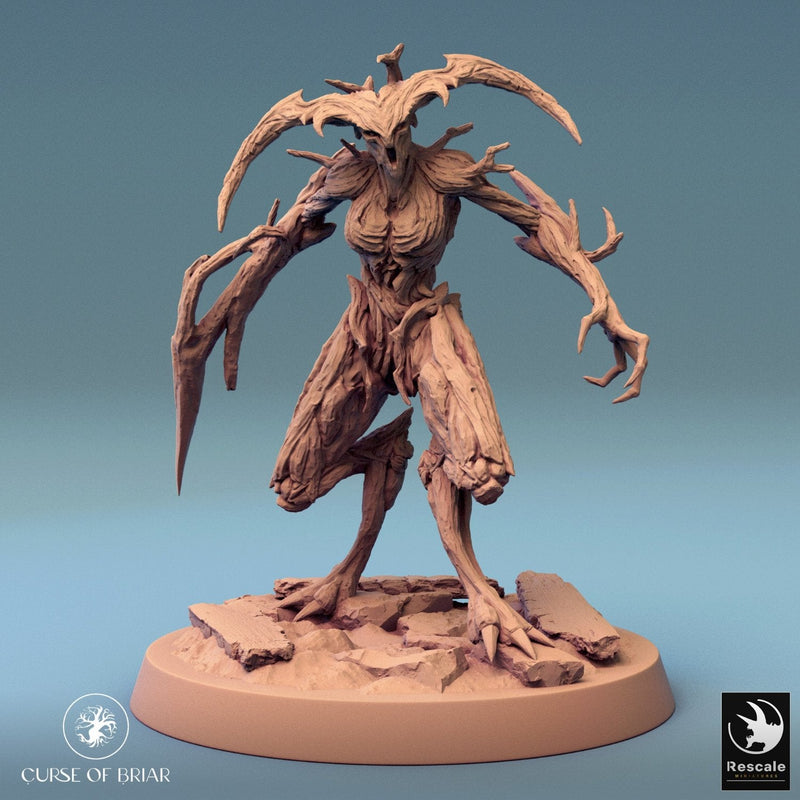 Wood Fey Intermediate Set 2