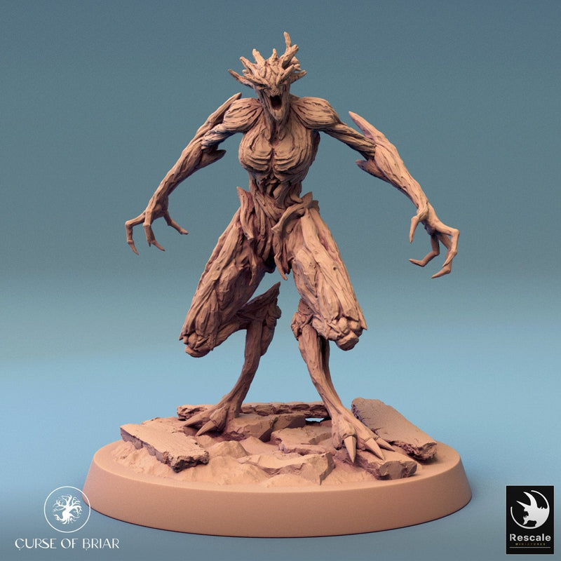 Wood Fey Light Set 2