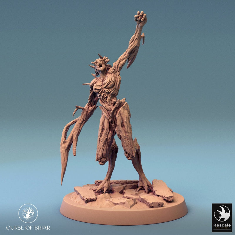 Wood Fey Intermediate Set 2