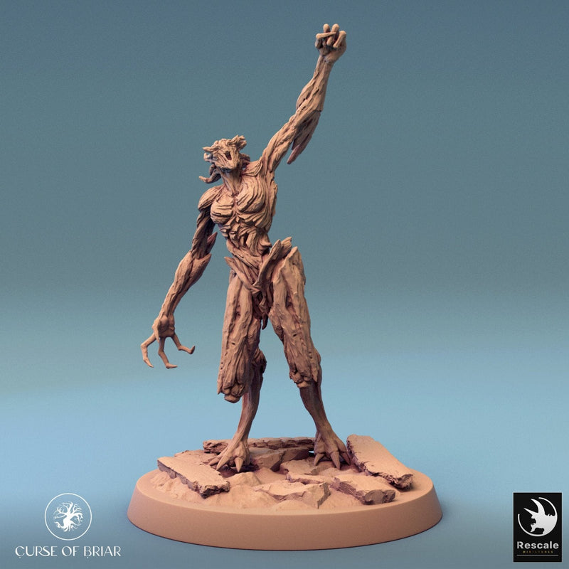 Wood Fey Light Set 2
