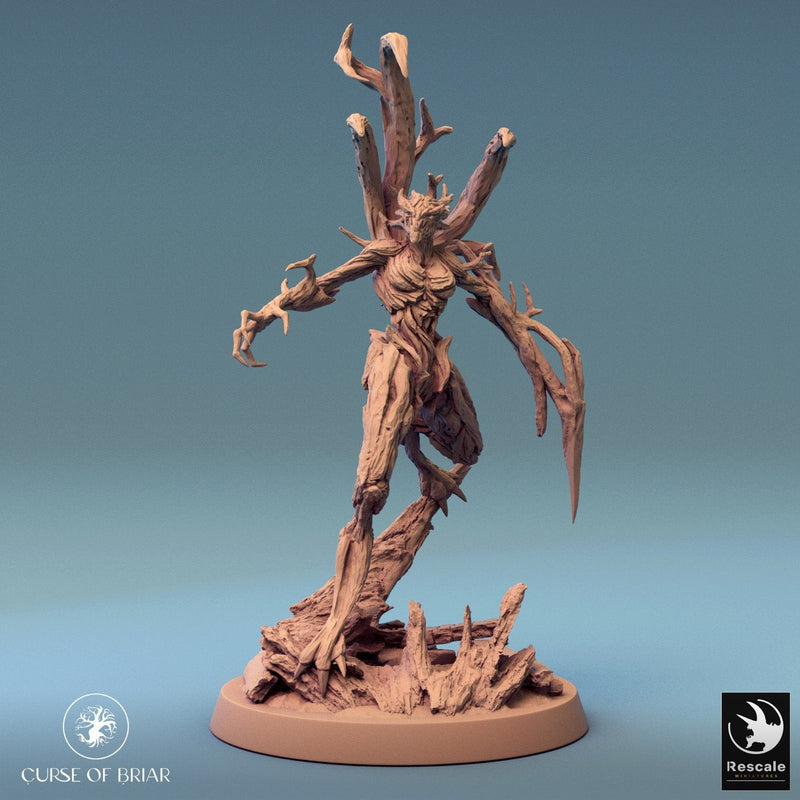 Wood Fey Heavy Set 1