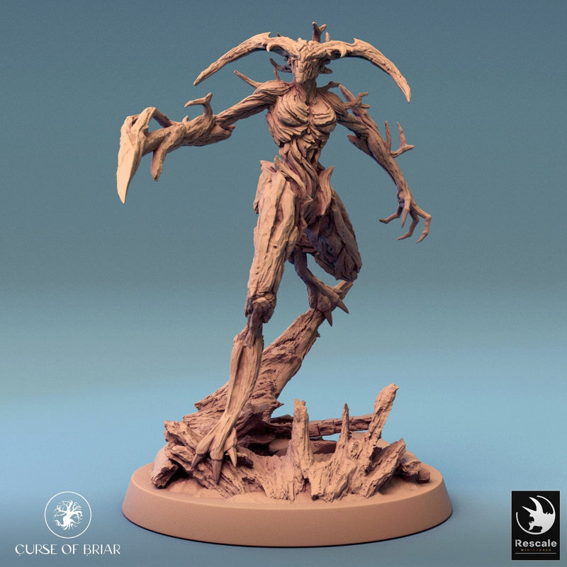 Wood Fey Intermediate Set 1