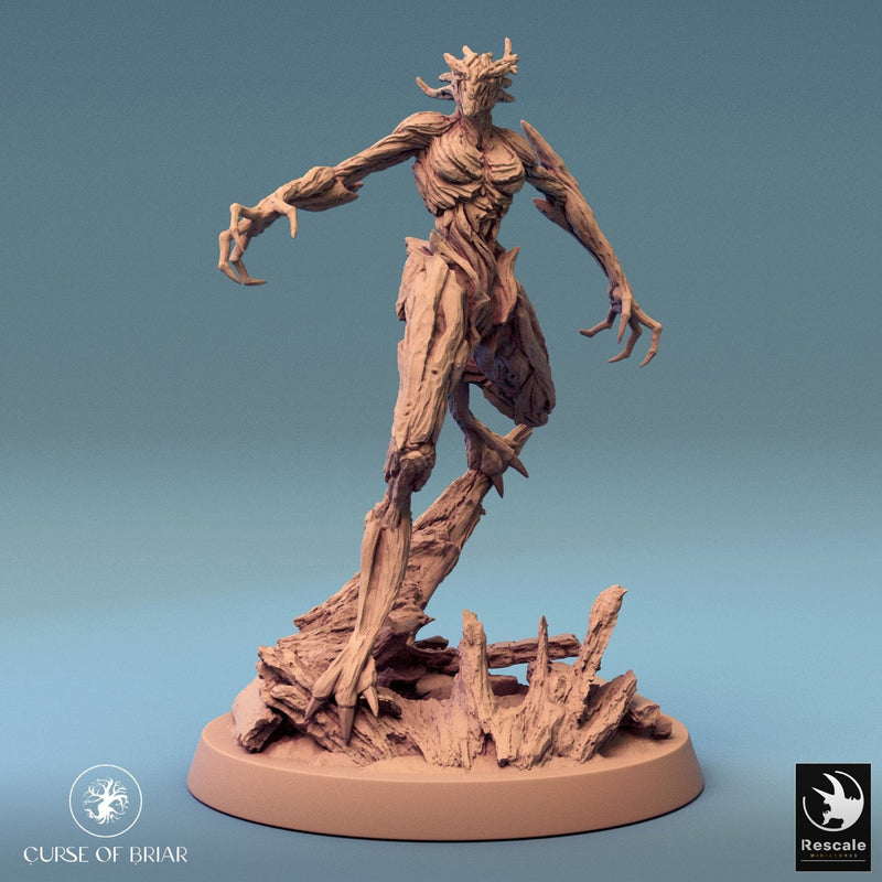 Wood Fey Light Set 1