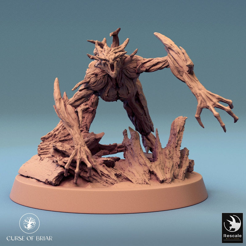 Wood Fey Intermediate Set 2