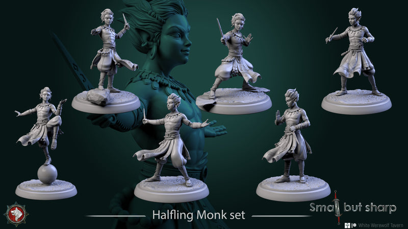 Halfling Monks Set – Halfling Male Monk Miniatures