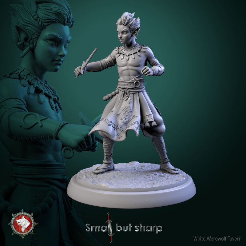 Halfling Monks Set – Halfling Male Monk Miniatures