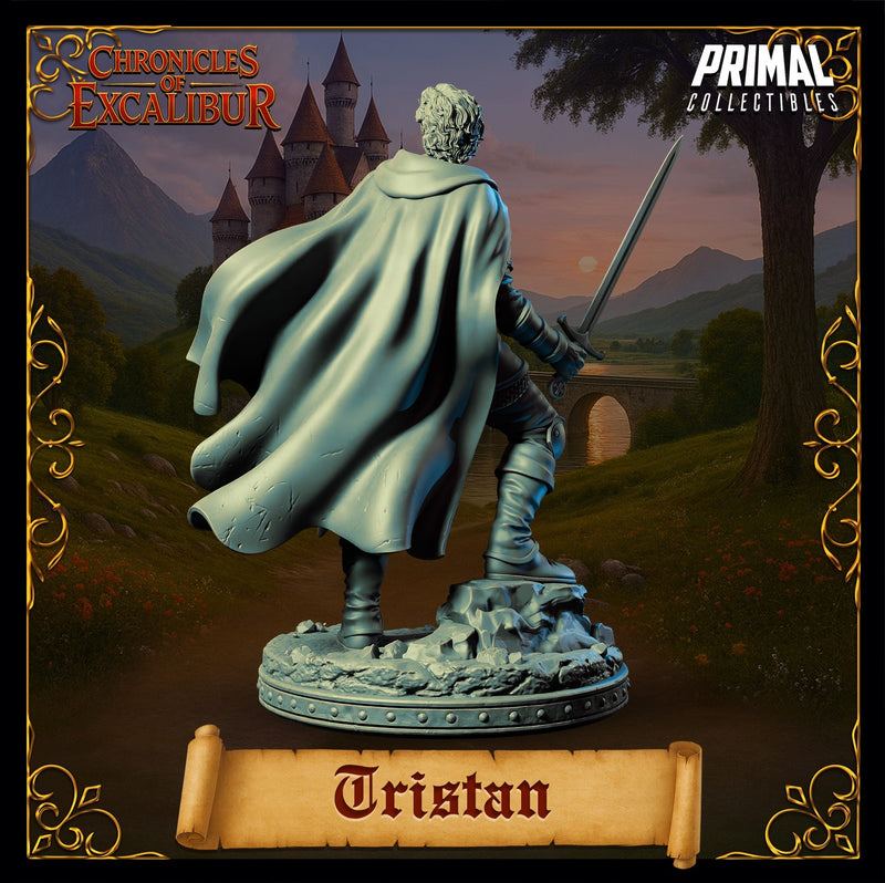 Tristan – Human Champion Fighter – Chronicles of Excalibur Miniature