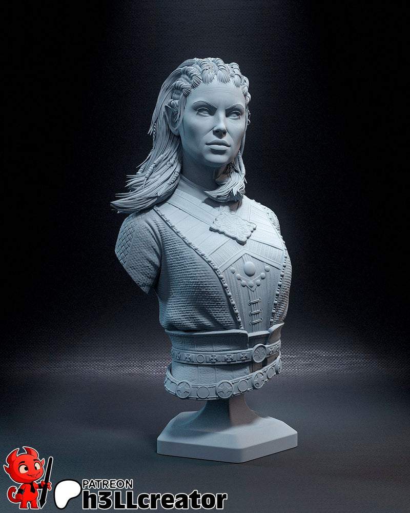 Jaheira - Baldur's Gate - 1:8 scale & Bust