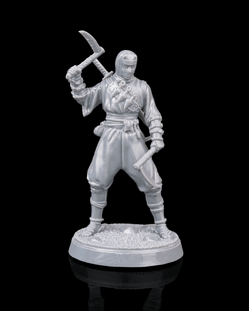 Kai, The Subtle Shadow – Ninja Assassin Miniature