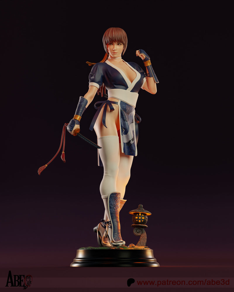 Kasumi - Dead or Alive - (SFW/NSFW 18+) - 1:4 Scale