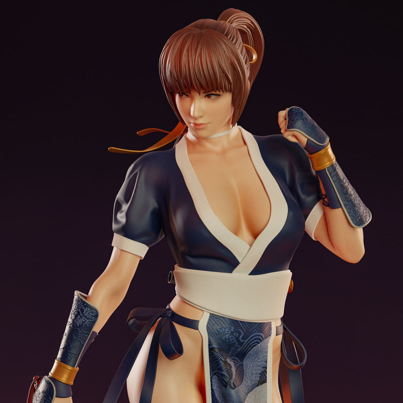 Kasumi - Dead or Alive - (SFW/NSFW 18+) - 1:4 Scale