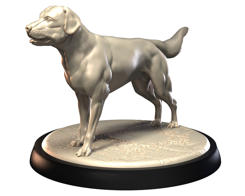 Dog Companions Vol. 1, Part 2