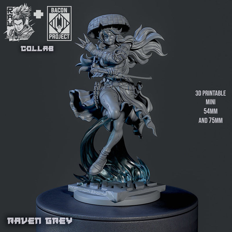 Raven Grey - 54mm, 75mm Scale
