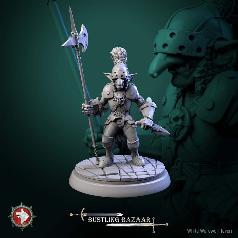 Market Guards – Fantasy NPC Miniatures – Mixed Races – Bustling Bazaar